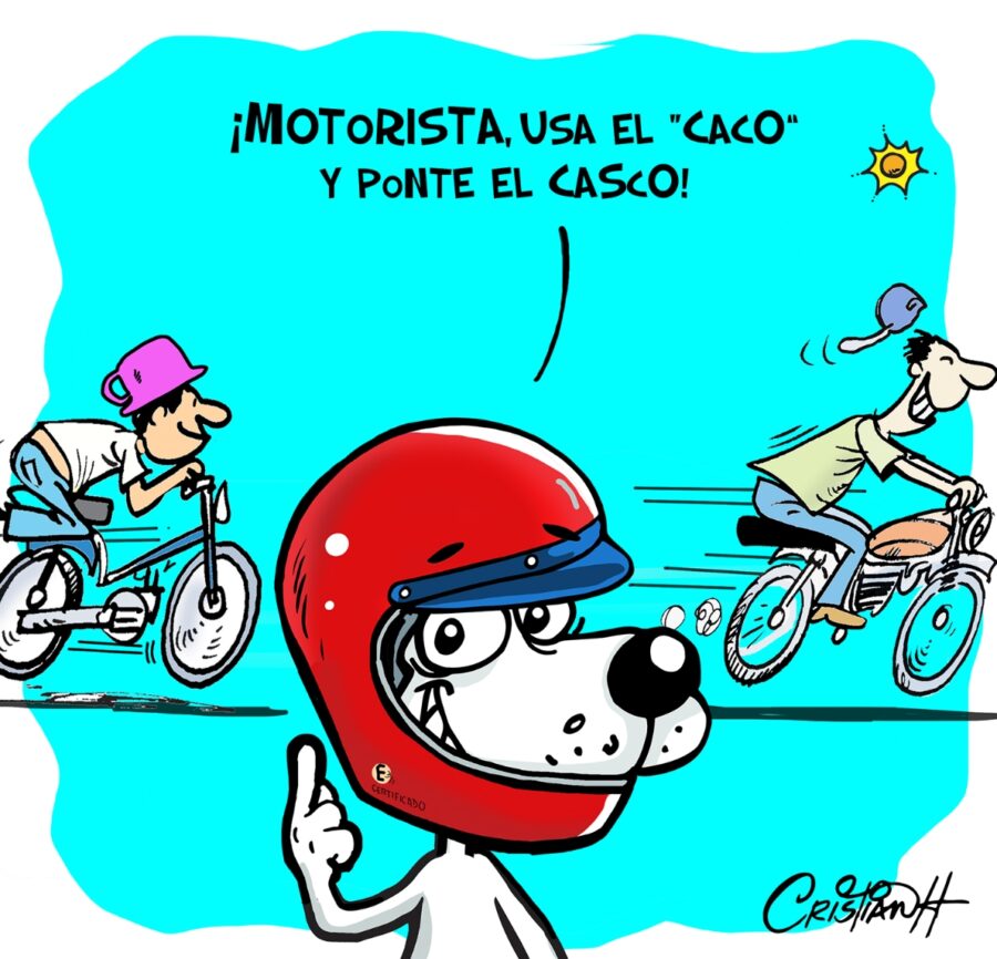 El carrusel de la vida