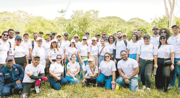 Colaboradores  reforestan humedales
