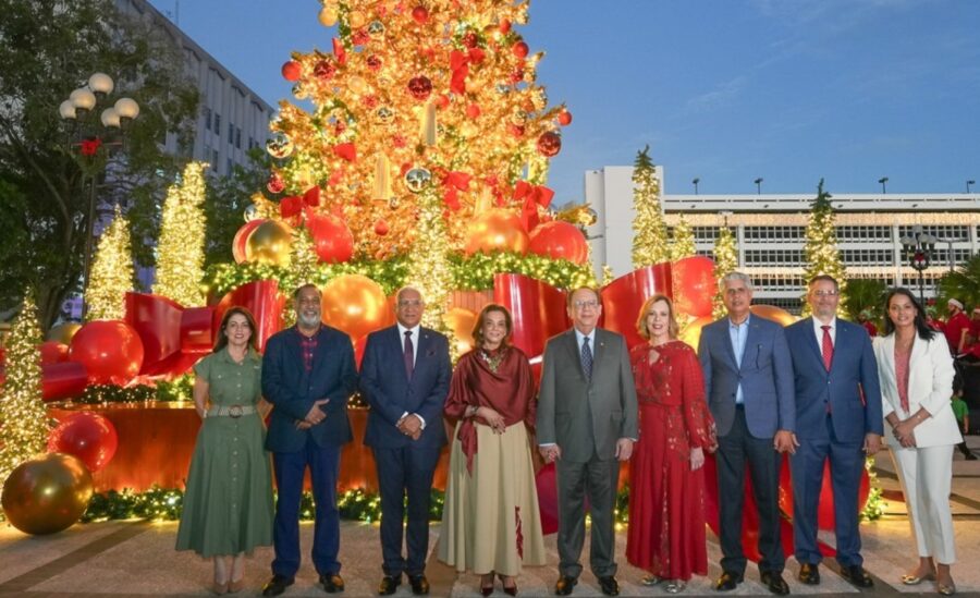 Shanttal Zuleta, Frank Montaño, Ervin Novas, Fior D’Aliza Martínez de Valdez, Héctor Valdez Albizu, Clarissa de la Rocha, José Manuel Taveras, Joel Tejeda y Liselotte Reyes.