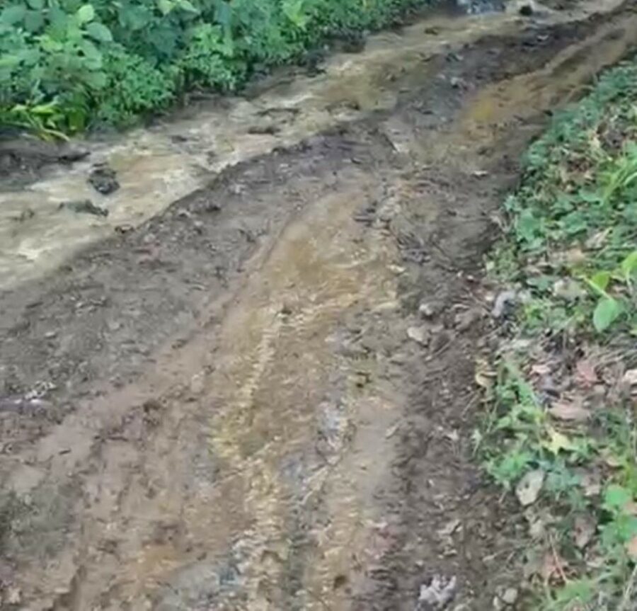 Cañada-el buey-san José de Ocoa23