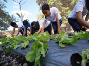 Huertos escolares impulsados por Inabie