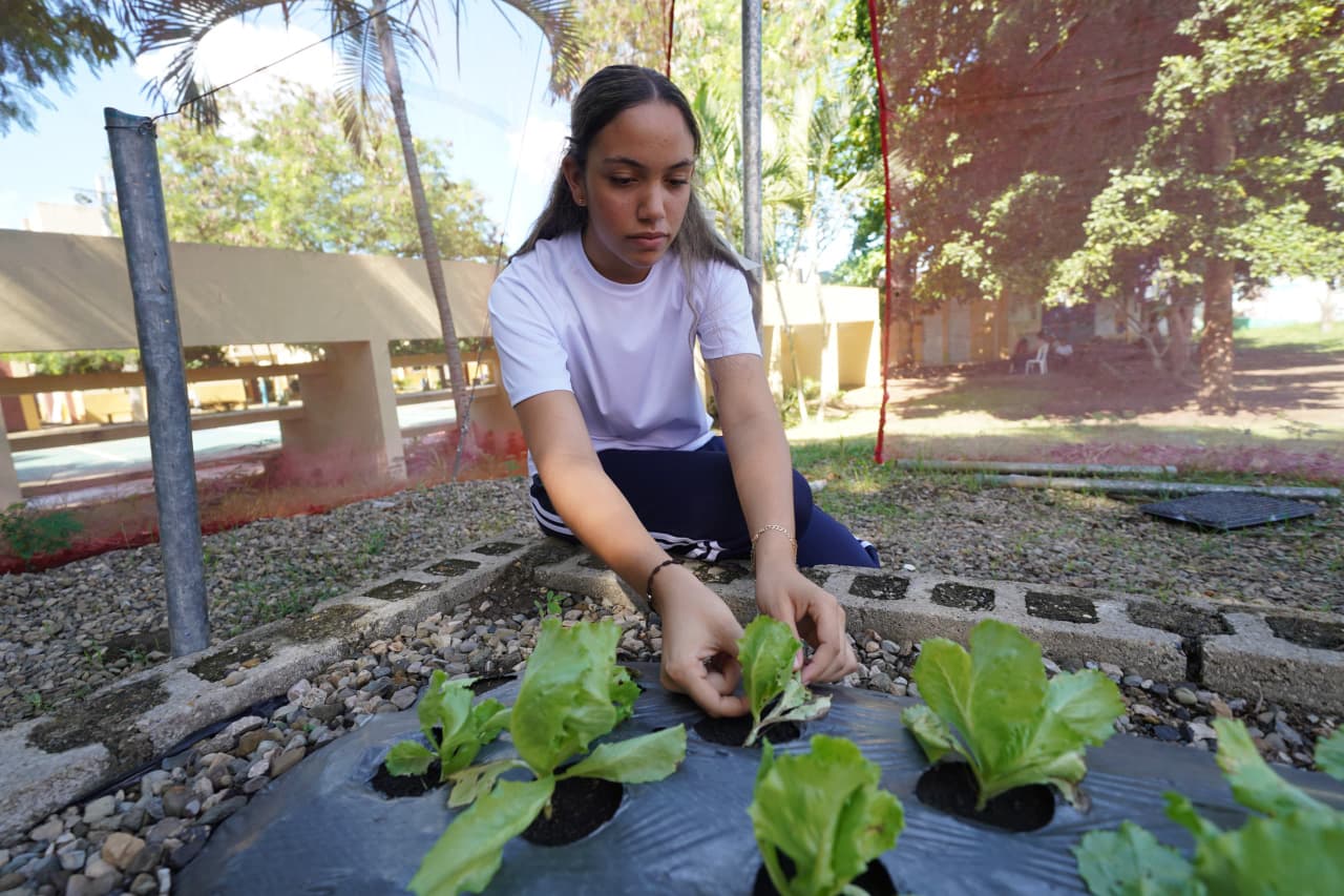 Huertos escolares impulsados por Inabie