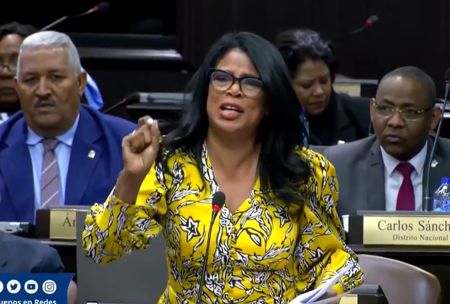 Lidia Pérez-diputada