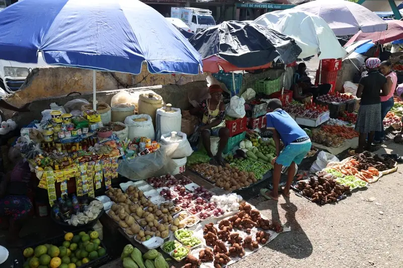 Mercado 11