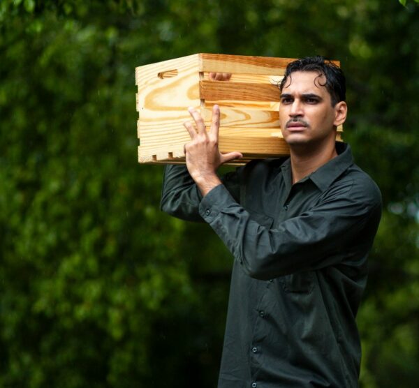 Obra Rufino y las Mariposas (1)