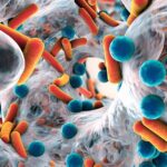 RD registra aumento sostenido de resistencia antimicrobiana en últimos años, alerta Salud Pública