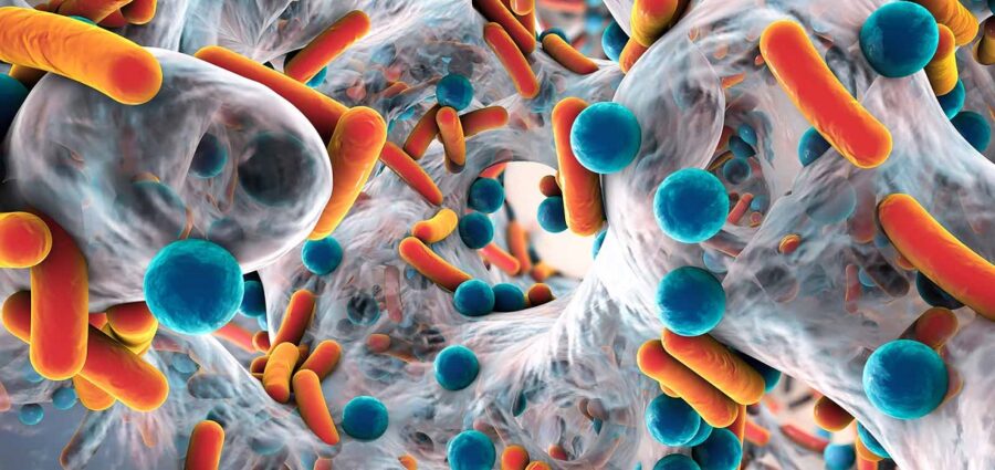 RD registra aumento sostenido de resistencia antimicrobiana en últimos años, alerta Salud Pública