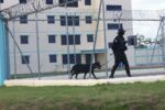 Unidades del K9 en el centro correccional Las Parras