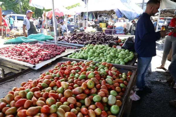 Vegetales