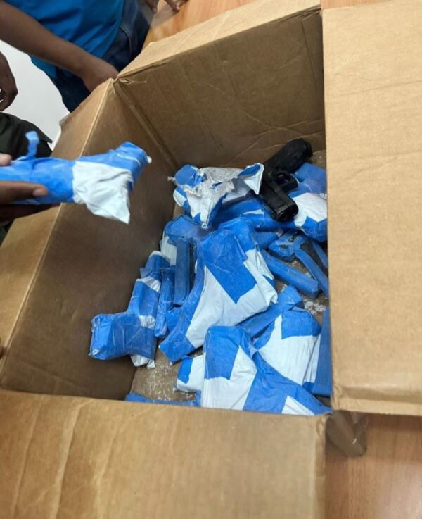 WhatsApp Image 2025-11-10 at 1.41.28 PM