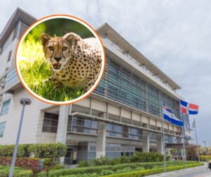 WhatsApp Image 2025-11-14 at 3.54.17 PM