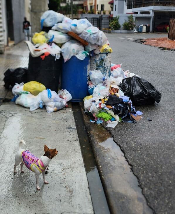 WhatsApp Image 2025-11-19 at 3.04.26 PM