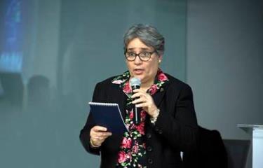 arelis-ricourt-fuente-externa_13581478_20200401143611-focus-0-0-375-240