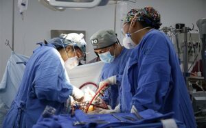 Donación de órganos