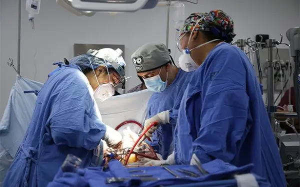Donación de órganos