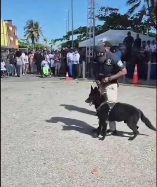 peroo policía