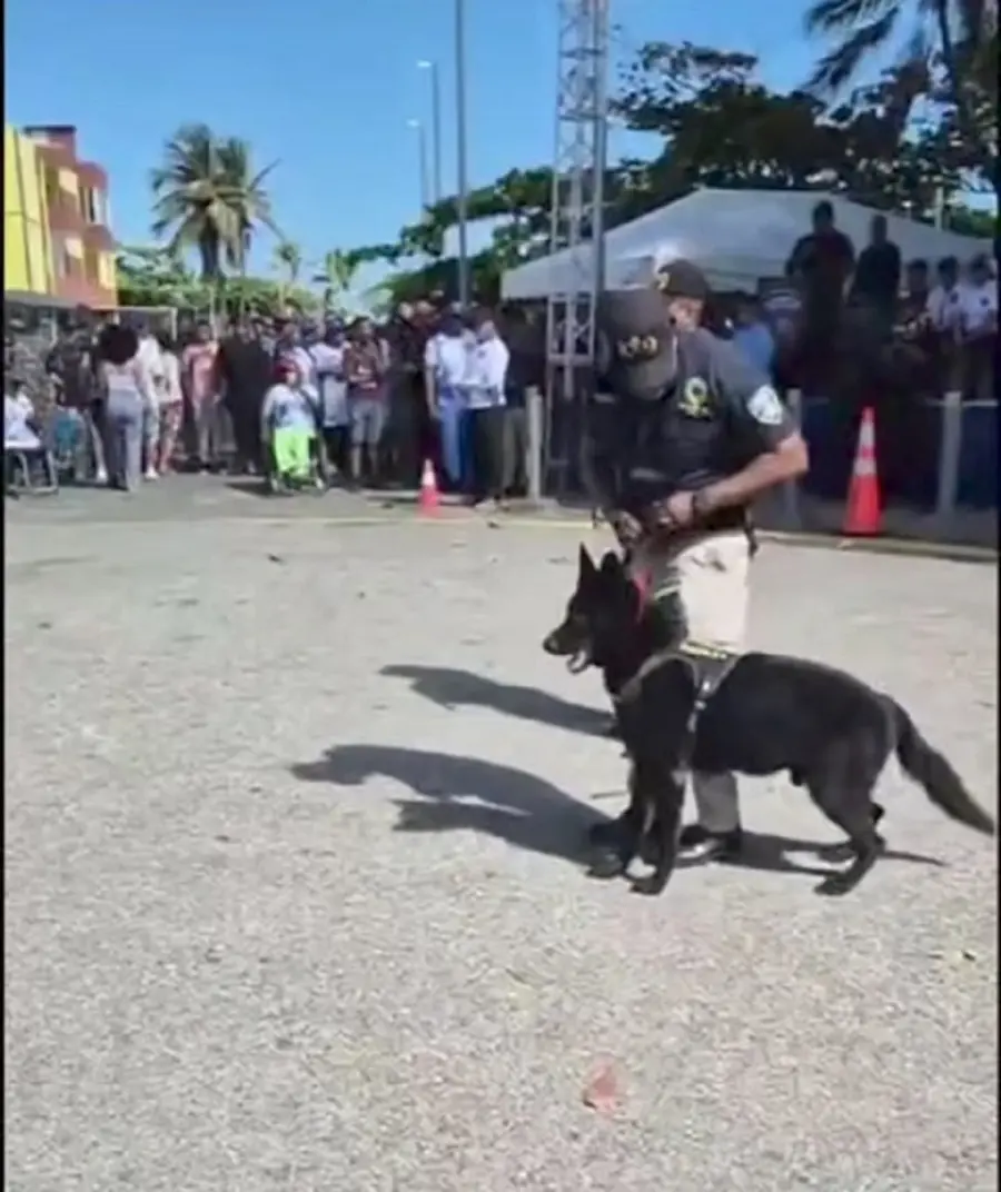 peroo policía
