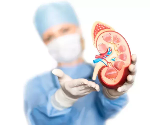 surgeon-holding-plastic-kidney.jpg