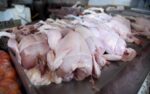 Se advierte sobre posible desabastecimiento del pollo.
