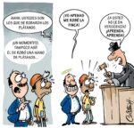 El carrusel de la vida