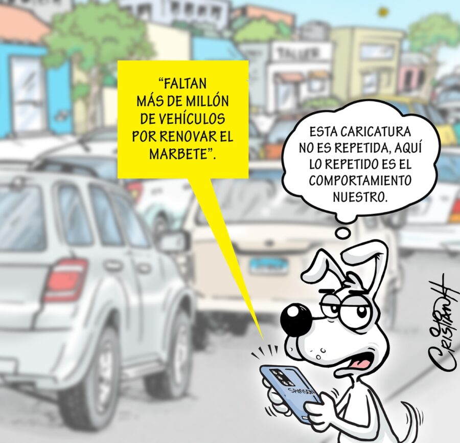 El carrusel de la vida