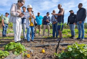 En cadena de valor  se promueve  la agroforestería, protección de especies nativas y  del suelo.