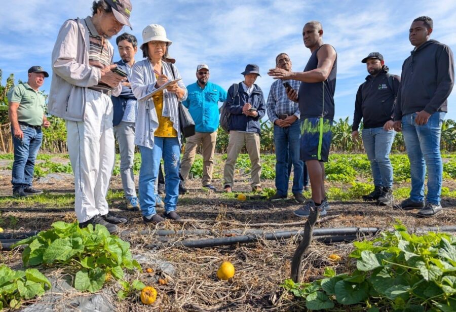 En cadena de valor  se promueve  la agroforestería, protección de especies nativas y  del suelo.
