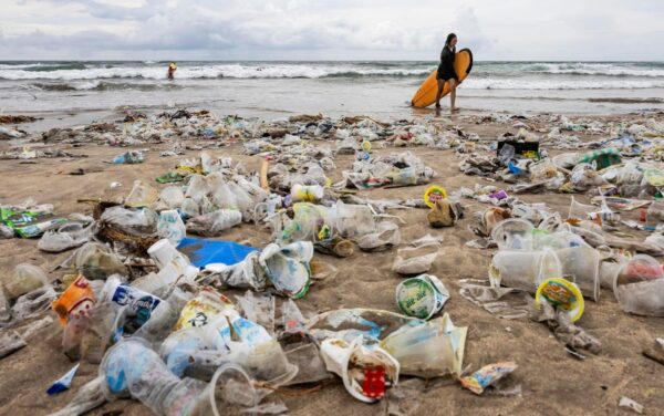 Ley  eliminará de forma  progresiva del foam no biodegradable.