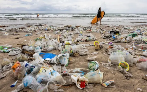 Ley  eliminará de forma  progresiva del foam no biodegradable.
