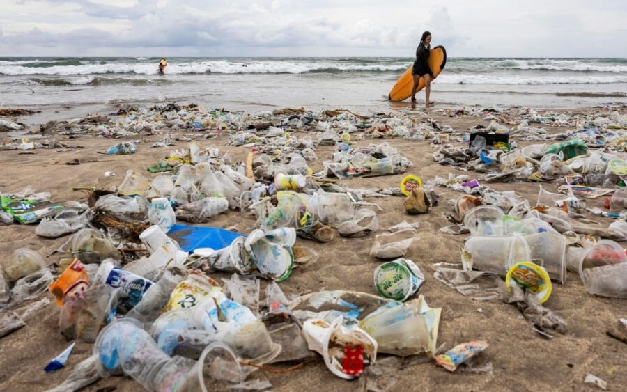 Ley  eliminará de forma  progresiva del foam no biodegradable.