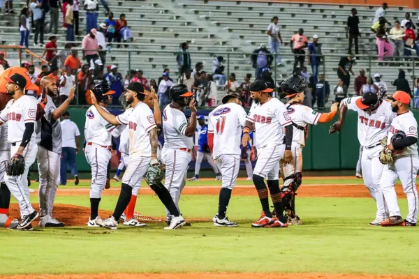 Toros del Este