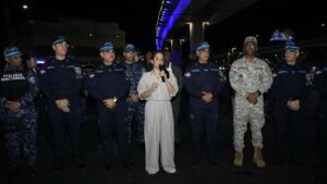 MINISTRA EN FUERZA DE TAREA