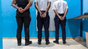 Miembros Cesac-DNCD red AILA