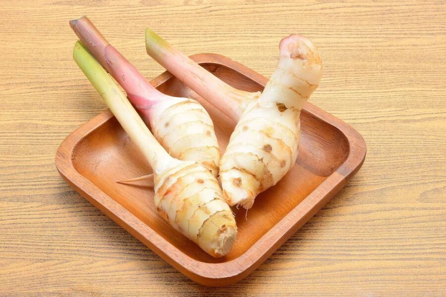 Es un ingrediente central en la cocina tailandesa, especialmente en sopas como la tom kha gai y en pastas de curry