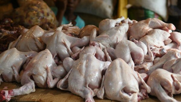 Venta de Pollos en Navidad.