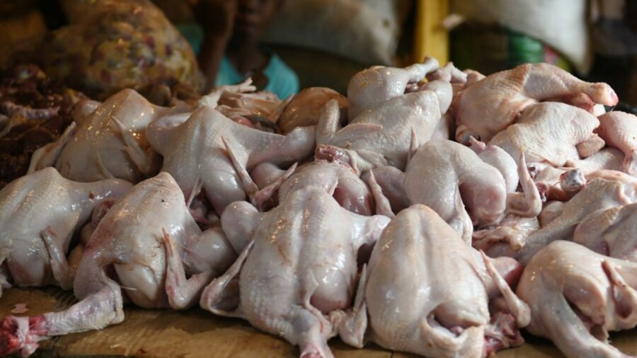 Venta de Pollos en Navidad.