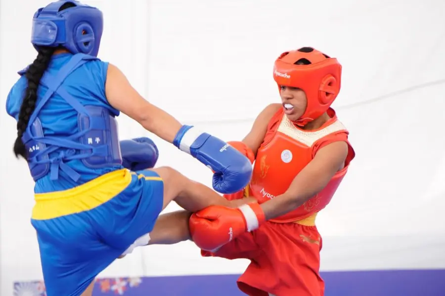 WUSHU 1