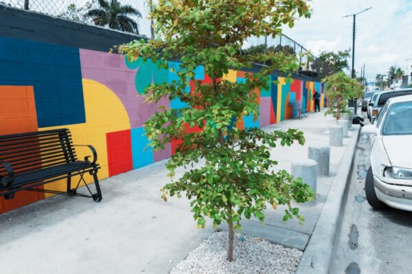 WhatsApp Image 2025-12-01 at 4.50.24 PM