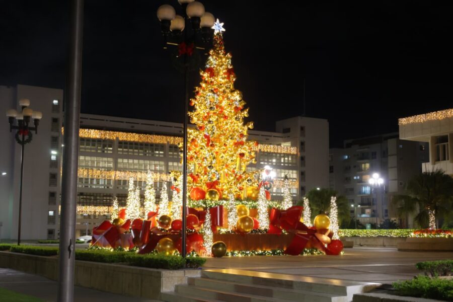Árbol de Navidad en las afueras del Banco Central