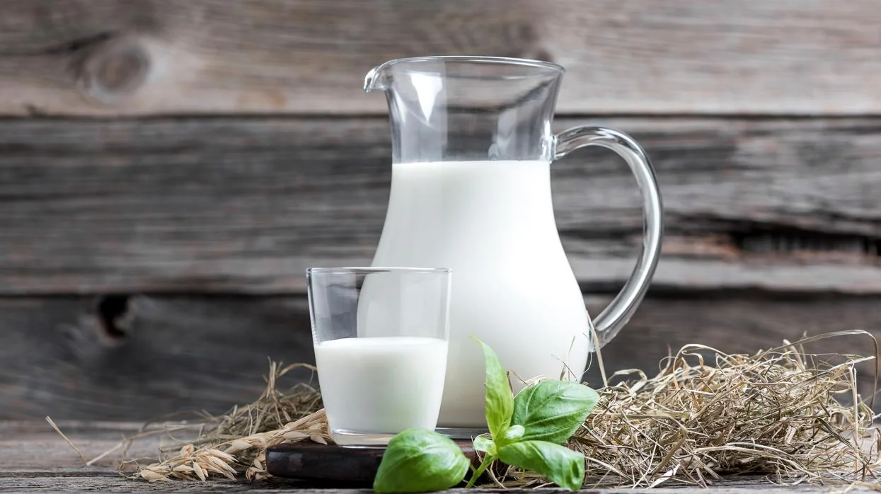 La leche: clave para prevenir osteoporosis y sarcopenia a lo largo de la vida