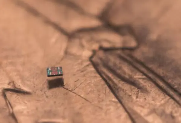 mini robots
