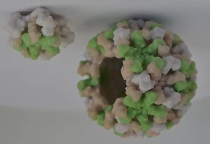 peligro virus