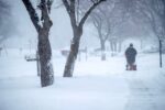Resident Martin Sherwin is framed by trees while clearing snow during a winter storm in Sheboygan