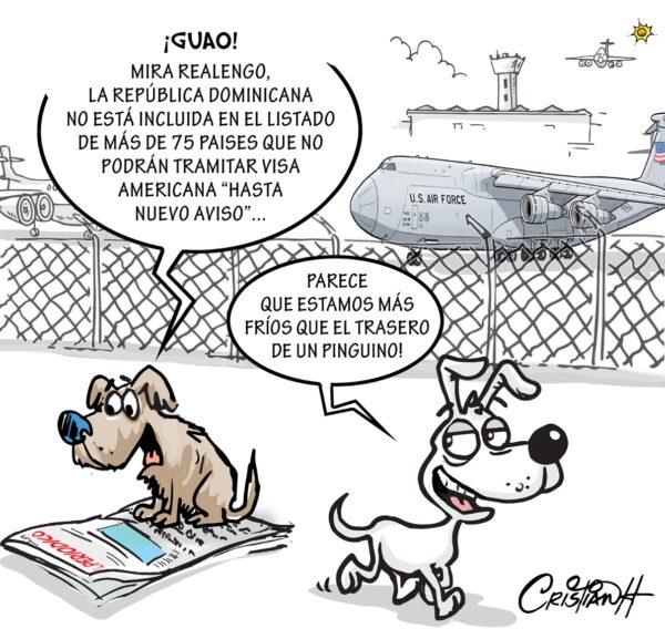 El carrusel de la vida