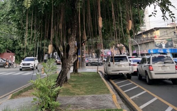 7b2ce519-e31e-4764-b2e6-156d0345950a