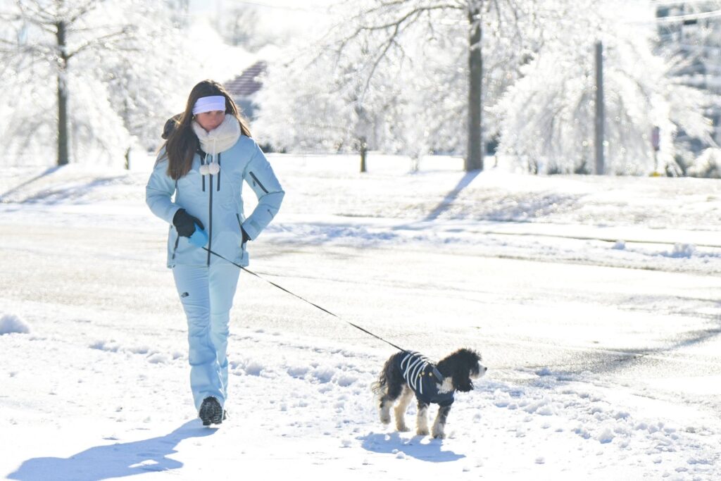 nieve-estados unidos 