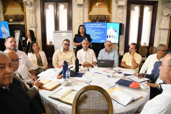 Consejo de ministros-Palacio-nacional02.jpg