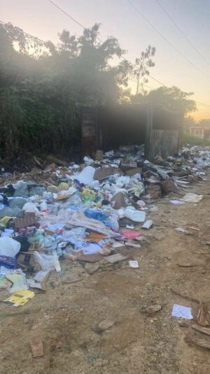 Cúmulo de basura en el sector Brisa Oriental