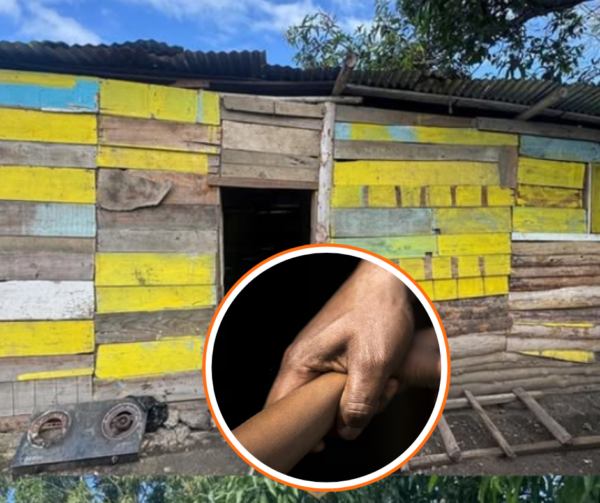 Diseño sin título (65)