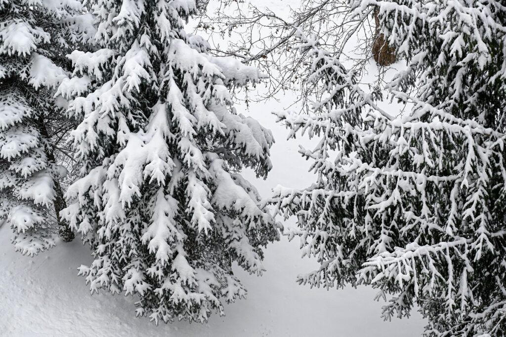 Nieve-tormenta-Europa